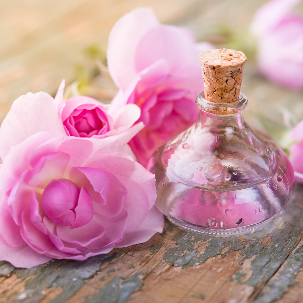 DIY-Rezepte & Tipps Rose